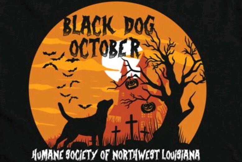 BLACK DOG OCTOBER